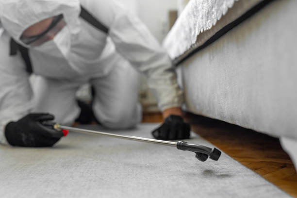 Professional Pest Control technician working in Lamar County County, GA